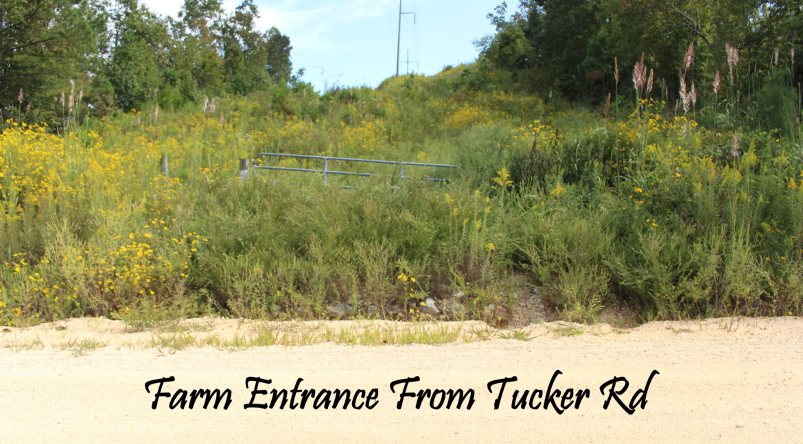 Farm entrance from Tucker Rd- Resized