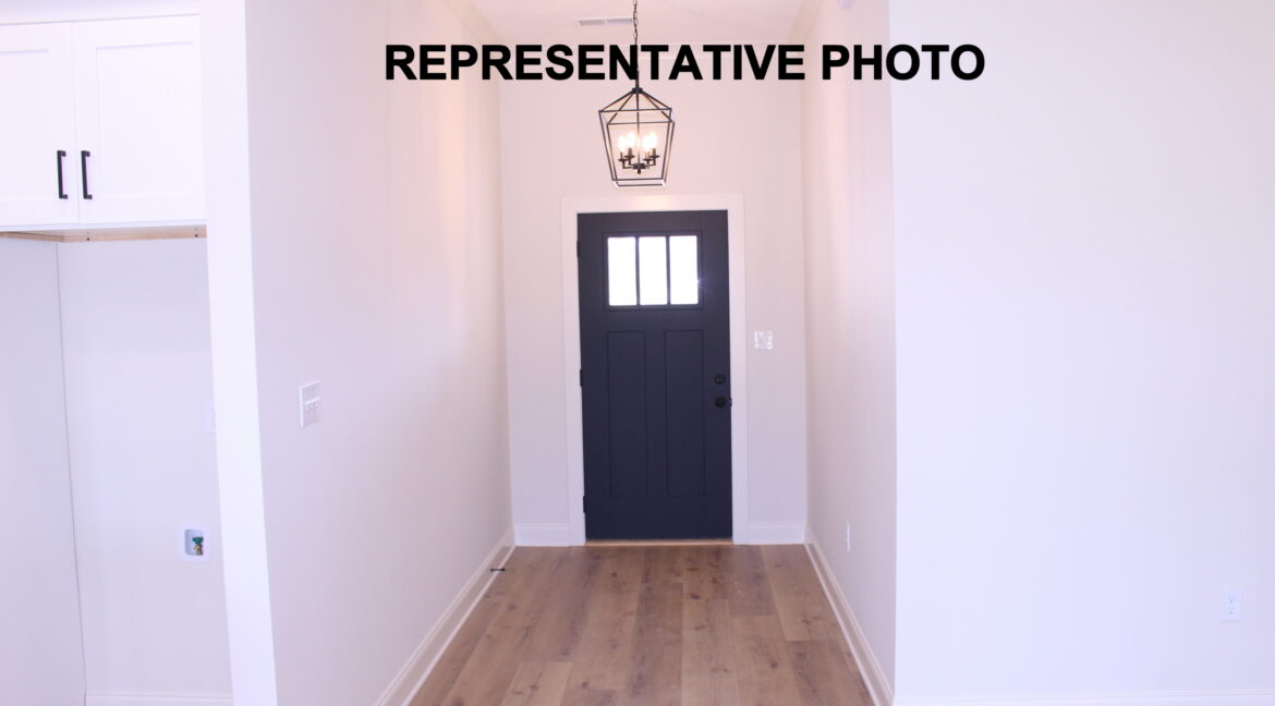 IMG_7750- Resized