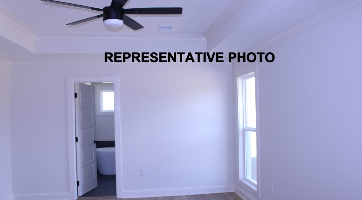 IMG_7782- Resized