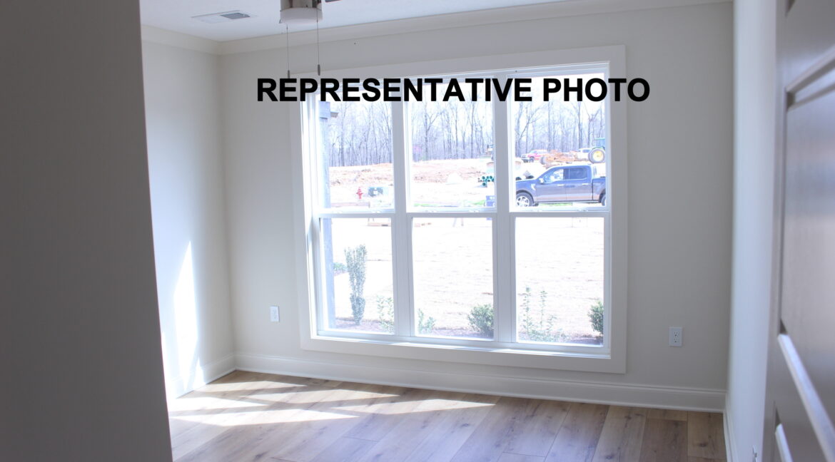 IMG_7800- Resized