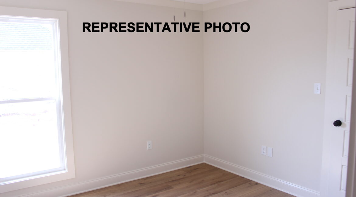 IMG_7803- Resized