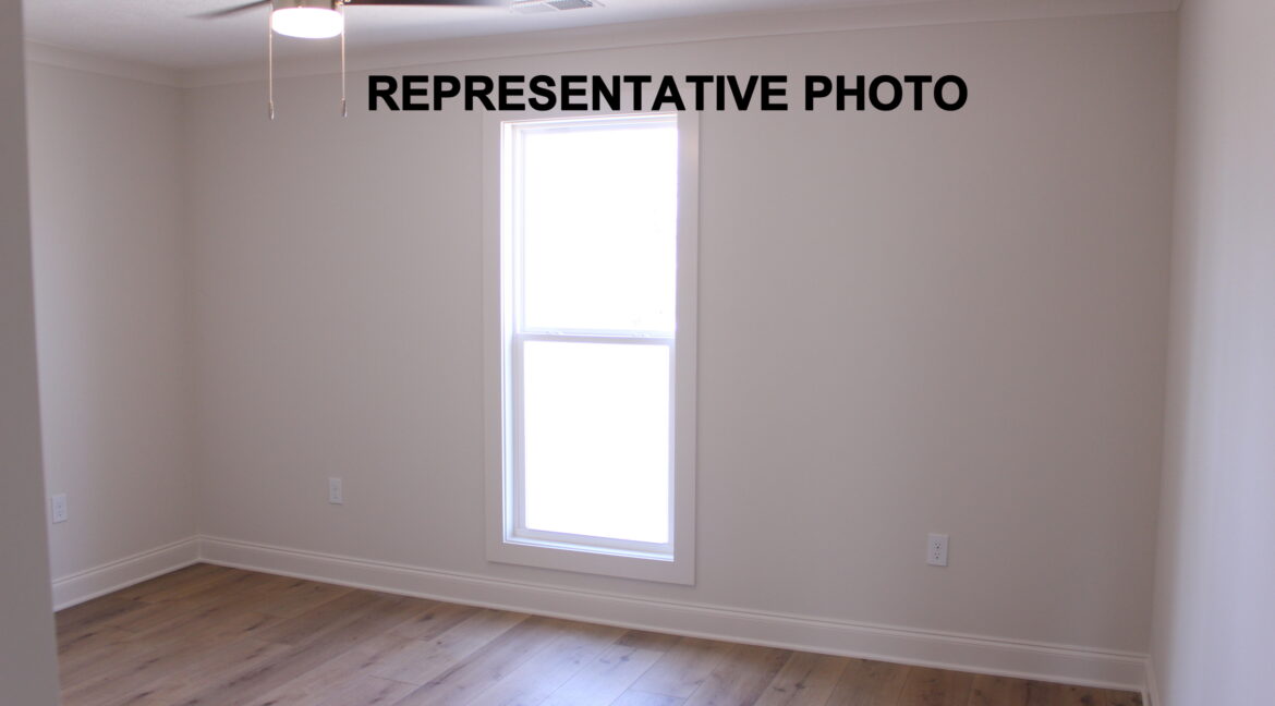 IMG_7806- Resized