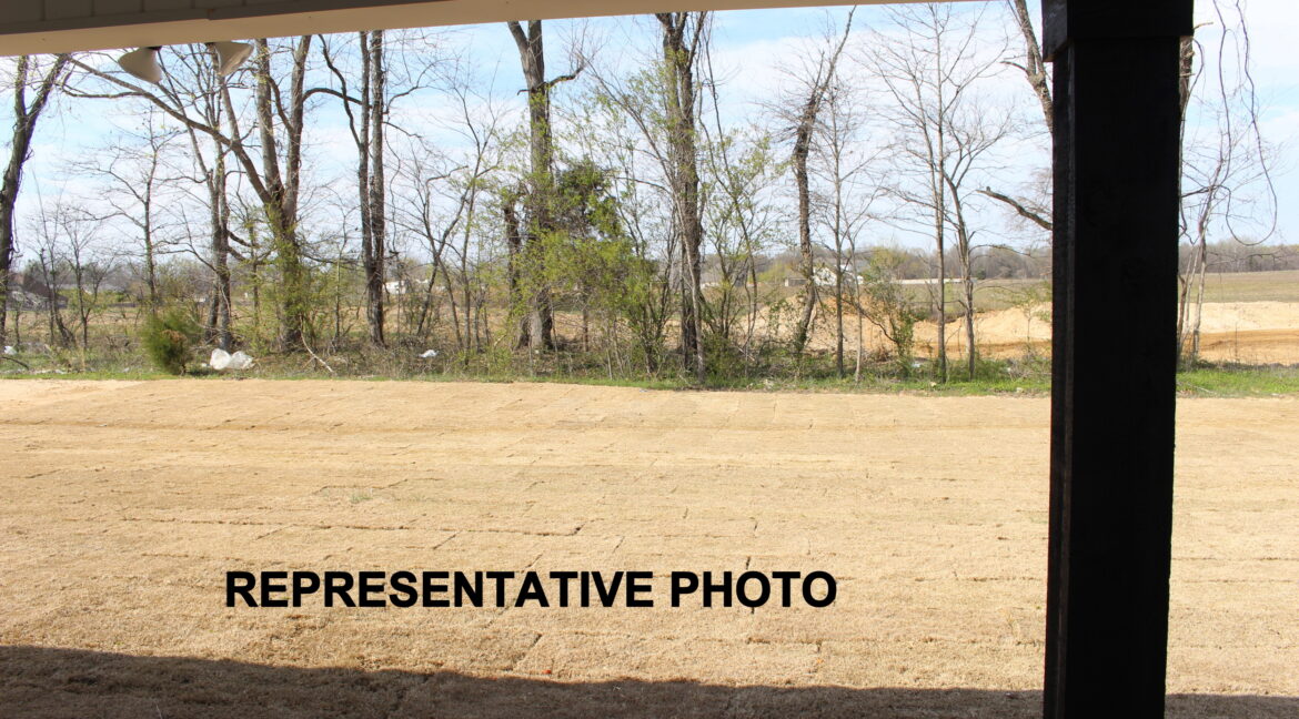 IMG_7811- Resized